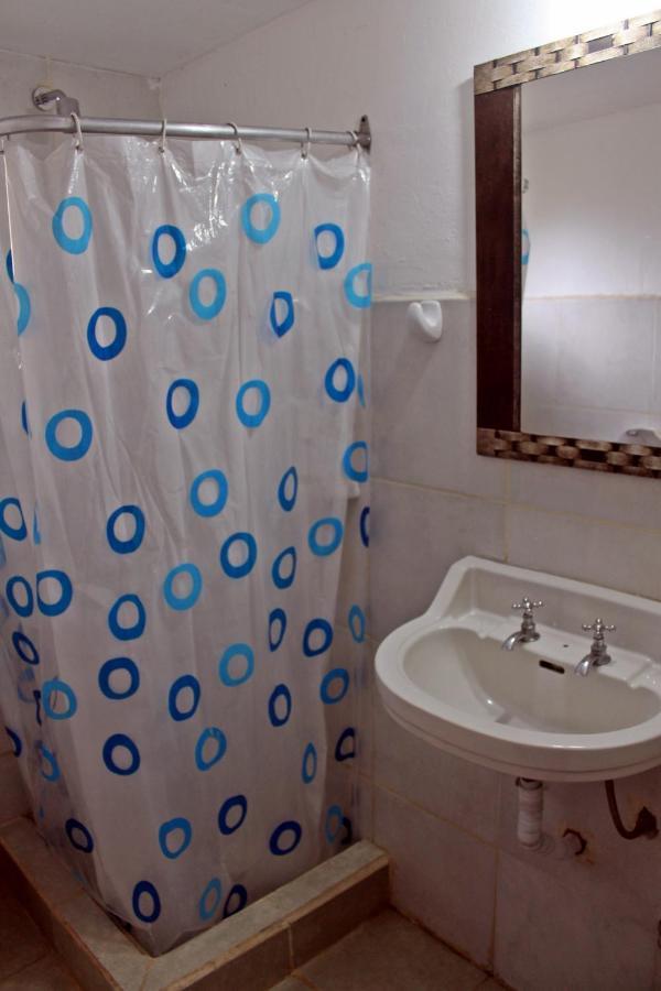 Alhue Patagonia Hostel サンマルティン エクステリア 写真