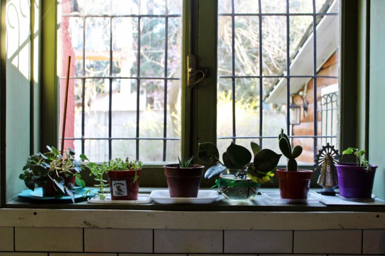 Alhue Patagonia Hostel サンマルティン エクステリア 写真