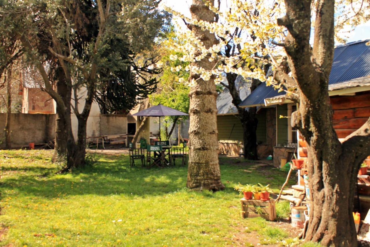 Alhue Patagonia Hostel サンマルティン エクステリア 写真